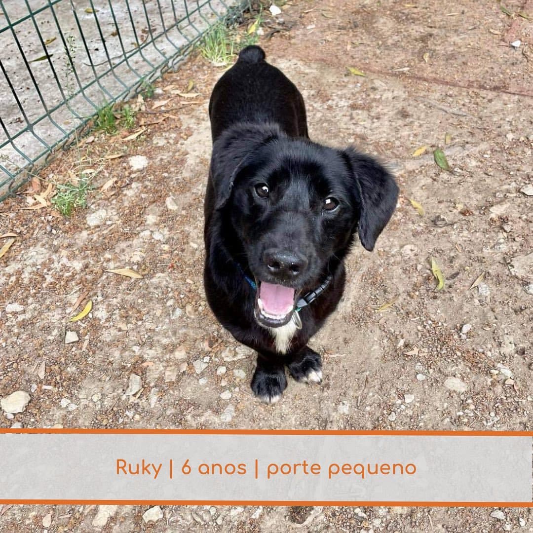 Ruky